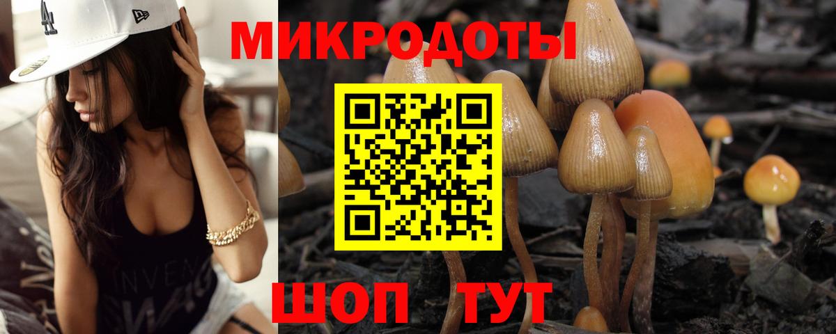 Галлюциногенные грибы мухоморы Сибай